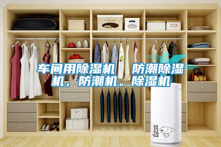 車間用除濕機(jī)  防潮除濕機(jī)，防潮機(jī)。除濕機(jī)