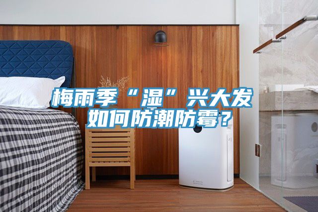 梅雨季“濕”興大發(fā) 如何防潮防霉？