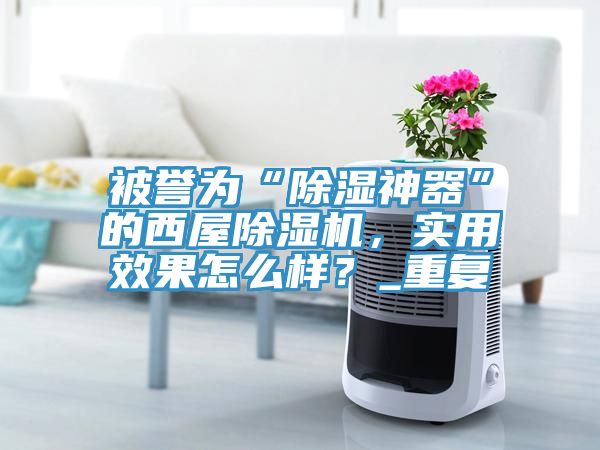 被譽(yù)為“除濕神器”的西屋除濕機(jī)，實(shí)用效果怎么樣？_重復(fù)