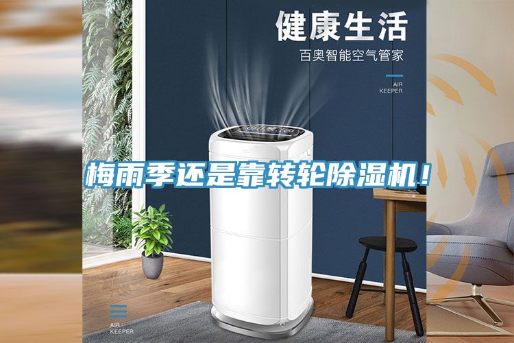 梅雨季還是靠轉(zhuǎn)輪除濕機(jī)！