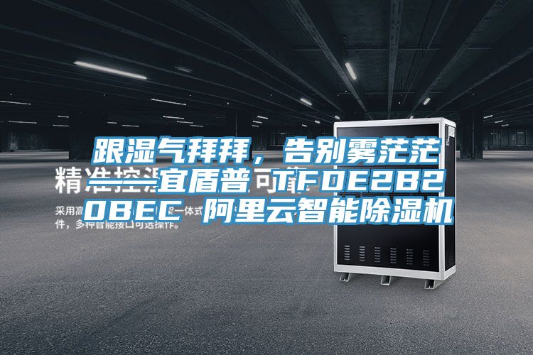 跟濕氣拜拜，告別霧茫茫——宜盾普 TFDE2B20BEC 阿里云智能除濕機(jī)