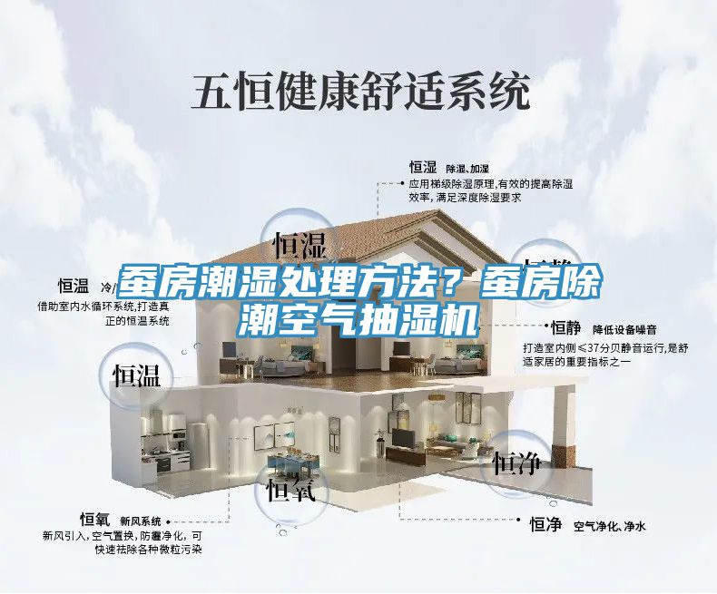 蠶房潮濕處理方法？蠶房除潮空氣抽濕機(jī)