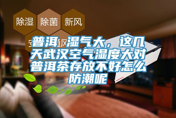 普洱 濕氣大，這幾天武漢空氣濕度大對普洱茶存放不好怎么防潮呢