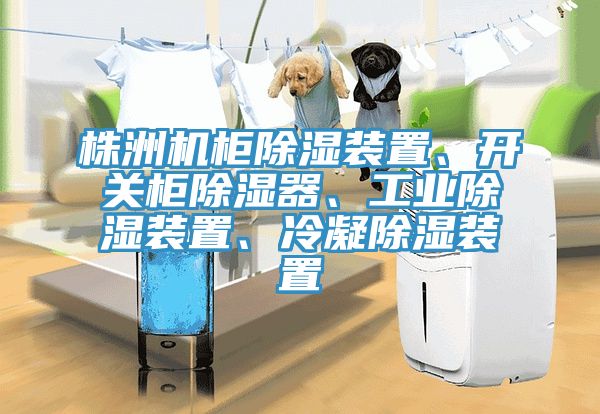 株洲機(jī)柜除濕裝置、開(kāi)關(guān)柜除濕器、工業(yè)除濕裝置、冷凝除濕裝置