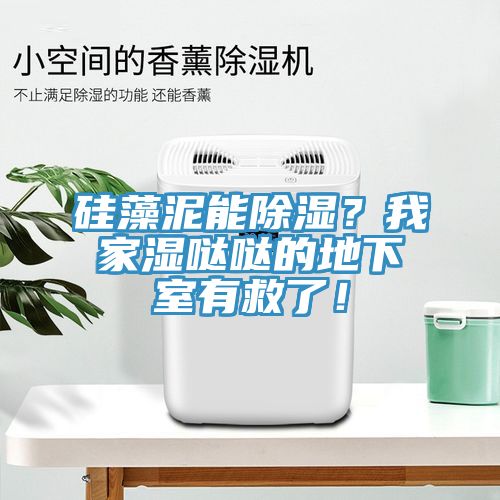 硅藻泥能除濕？我家濕噠噠的地下室有救了！