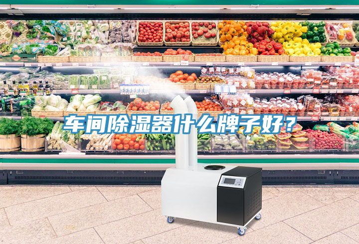 車間除濕器什么牌子好？