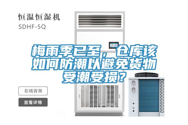 梅雨季已至，倉庫該如何防潮以避免貨物受潮受損？