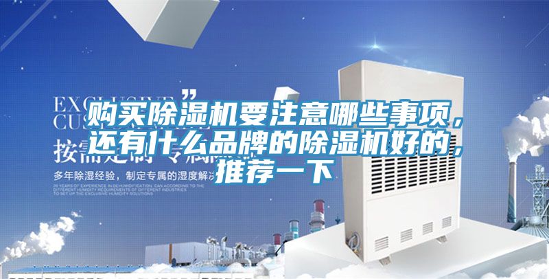 購買除濕機要注意哪些事項，還有什么品牌的除濕機好的，推薦一下