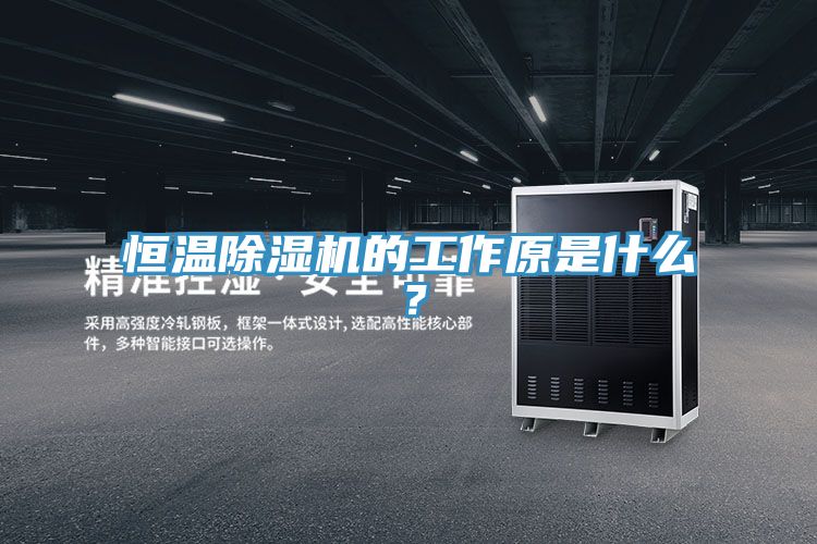 恒溫除濕機(jī)的工作原是什么？