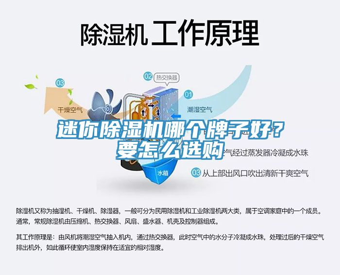迷你除濕機(jī)哪個牌子好？要怎么選購