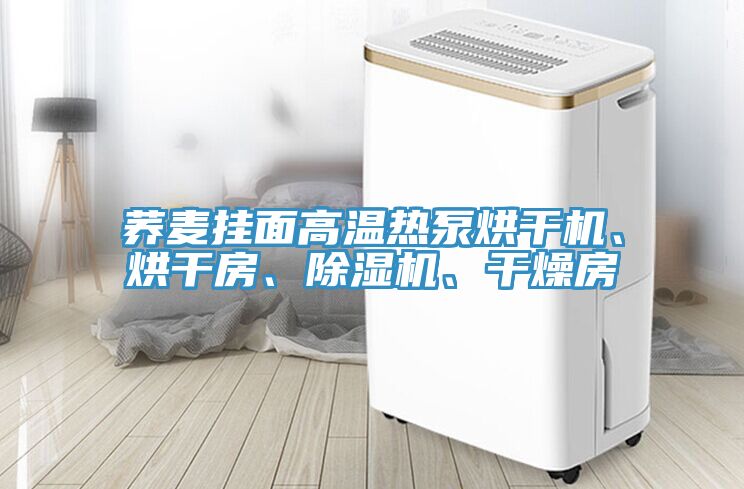 蕎麥掛面高溫?zé)岜煤娓蓹C(jī)、烘干房、除濕機(jī)、干燥房