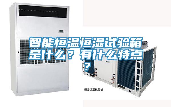 智能恒溫恒濕試驗箱是什么？有什么特點？