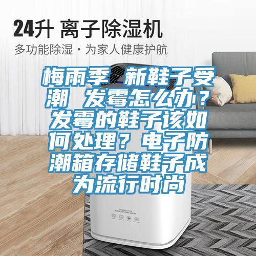梅雨季 新鞋子受潮 發(fā)霉怎么辦？發(fā)霉的鞋子該如何處理？電子防潮箱存儲鞋子成為流行時尚