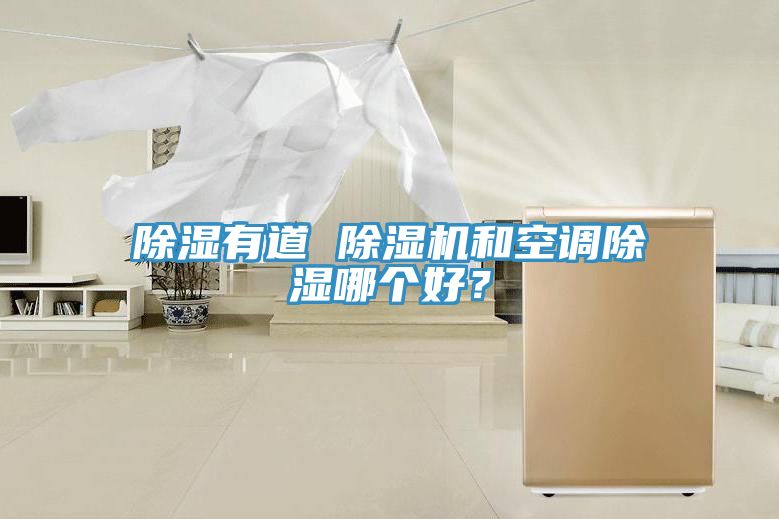除濕有道 除濕機(jī)和空調(diào)除濕哪個(gè)好？