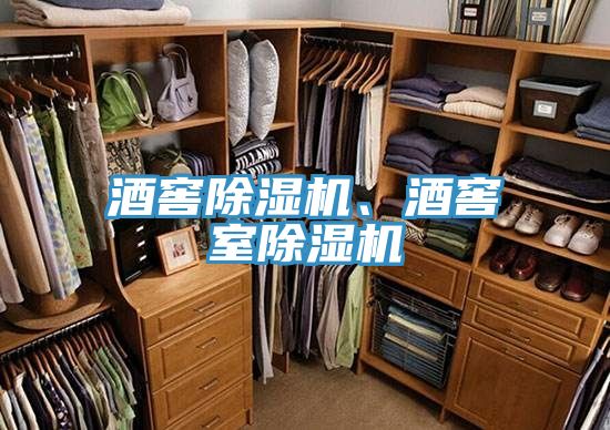 酒窖除濕機、酒窖室除濕機
