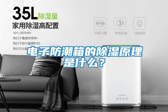 電子防潮箱的除濕原理是什么？