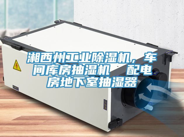 湘西州工業(yè)除濕機，車間庫房抽濕機  配電房地下室抽濕器
