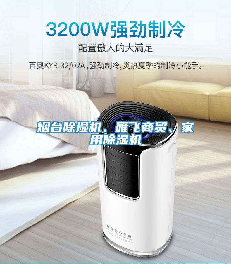 煙臺除濕機、雁飛商貿(mào)、家用除濕機
