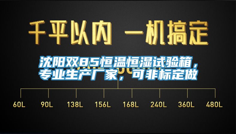 沈陽(yáng)雙85恒溫恒濕試驗(yàn)箱，專業(yè)生產(chǎn)廠家，可非標(biāo)定做