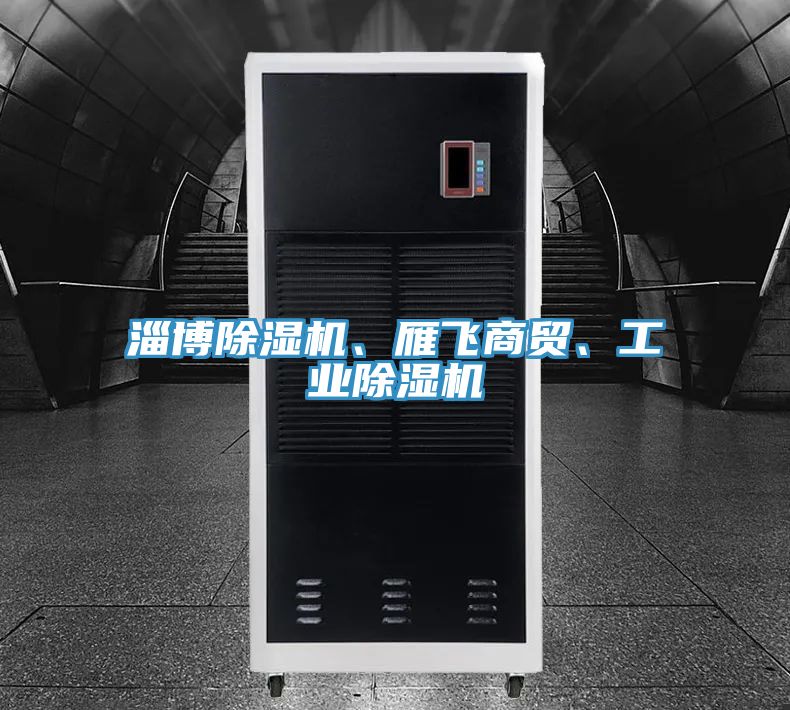 淄博除濕機、雁飛商貿(mào)、工業(yè)除濕機