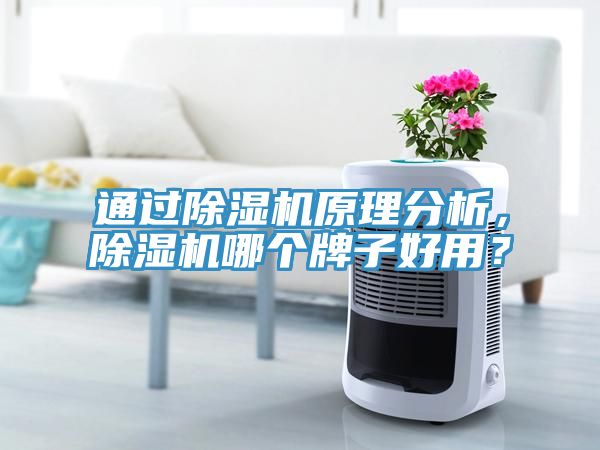 通過除濕機(jī)原理分析，除濕機(jī)哪個(gè)牌子好用？