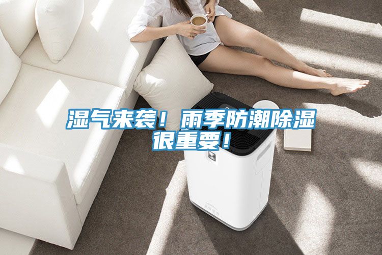 濕氣來襲！雨季防潮除濕很重要！