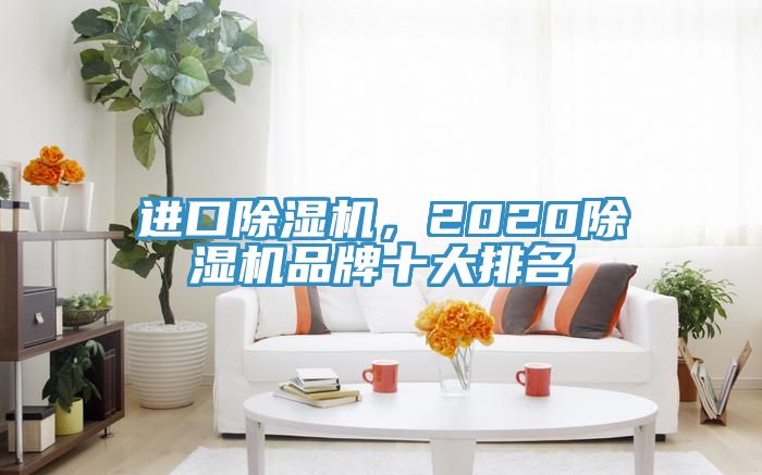 進(jìn)口除濕機(jī)，2020除濕機(jī)品牌十大排名