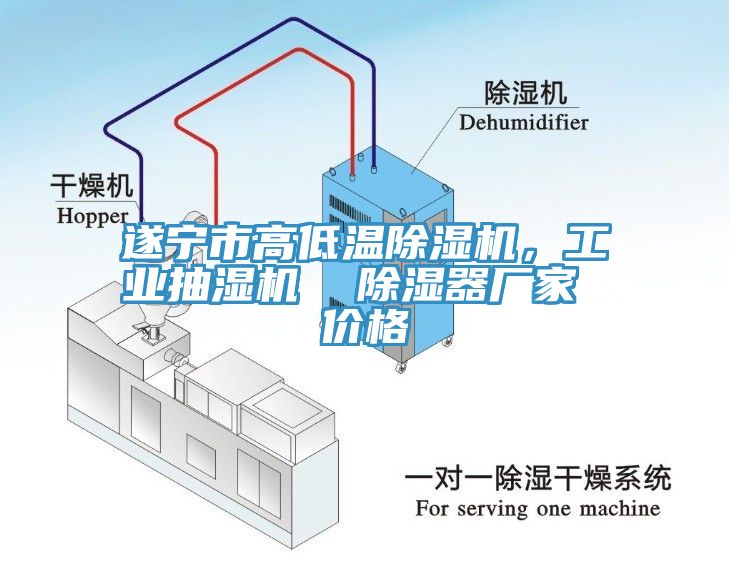 遂寧市高低溫除濕機，工業(yè)抽濕機  除濕器廠家 價格