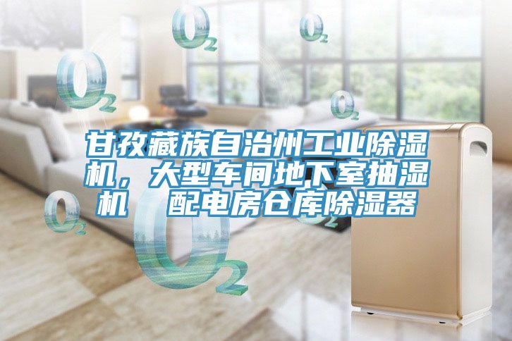 甘孜藏族自治州工業(yè)除濕機(jī)，大型車(chē)間地下室抽濕機(jī)  配電房倉(cāng)庫(kù)除濕器