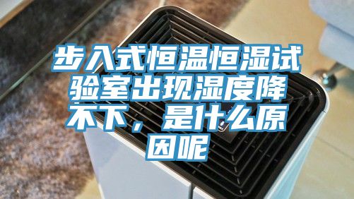 步入式恒溫恒濕試驗(yàn)室出現(xiàn)濕度降不下，是什么原因呢