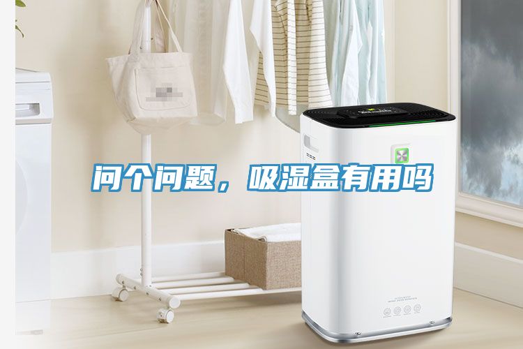 問(wèn)個(gè)問(wèn)題，吸濕盒有用嗎