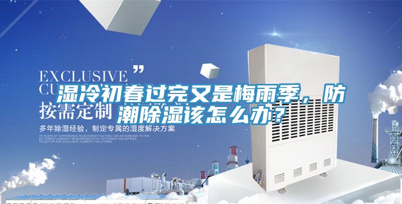 濕冷初春過完又是梅雨季，防潮除濕該怎么辦？