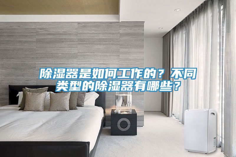 除濕器是如何工作的？不同類型的除濕器有哪些？