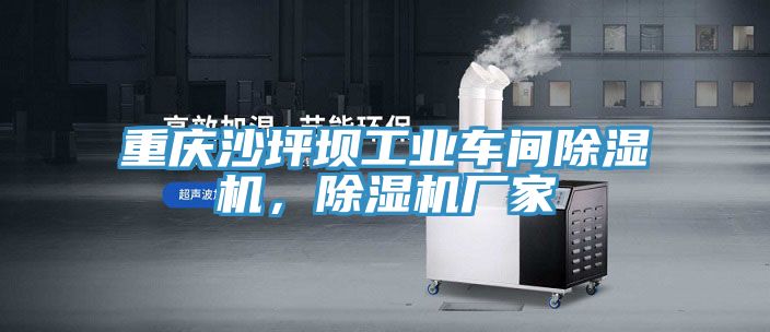重慶沙坪壩工業(yè)車間除濕機，除濕機廠家