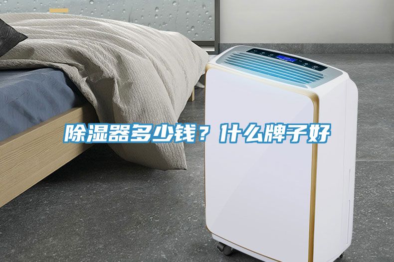 除濕器多少錢？什么牌子好