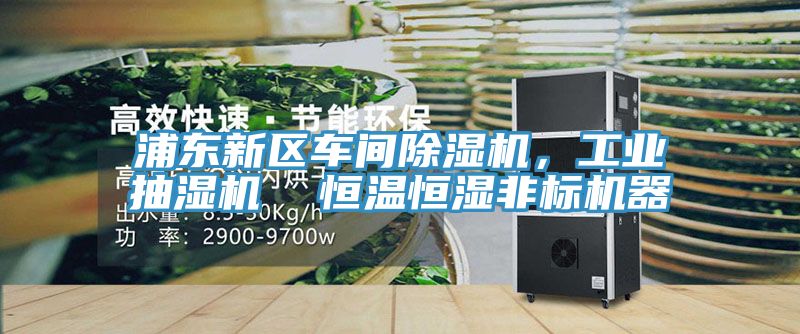 浦東新區(qū)車間除濕機，工業(yè)抽濕機  恒溫恒濕非標機器