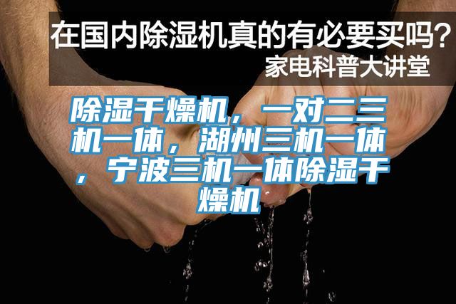 除濕干燥機(jī)，一對(duì)二三機(jī)一體，湖州三機(jī)一體，寧波三機(jī)一體除濕干燥機(jī)