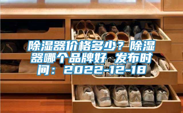除濕器價格多少？除濕器哪個品牌好 發(fā)布時間：2022-12-18