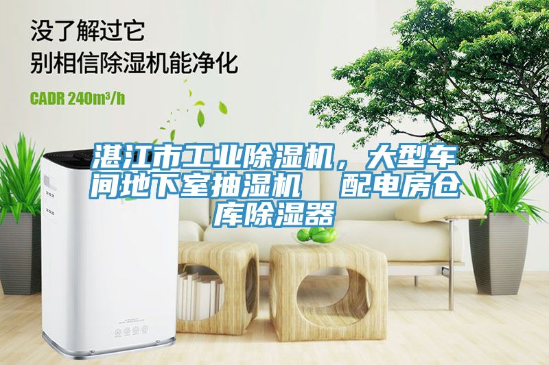 湛江市工業(yè)除濕機，大型車間地下室抽濕機  配電房倉庫除濕器