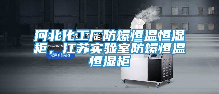 河北化工廠防爆恒溫恒濕柜，江蘇實(shí)驗(yàn)室防爆恒溫恒濕柜