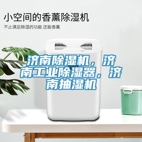 濟(jì)南除濕機(jī)，濟(jì)南工業(yè)除濕器，濟(jì)南抽濕機(jī)