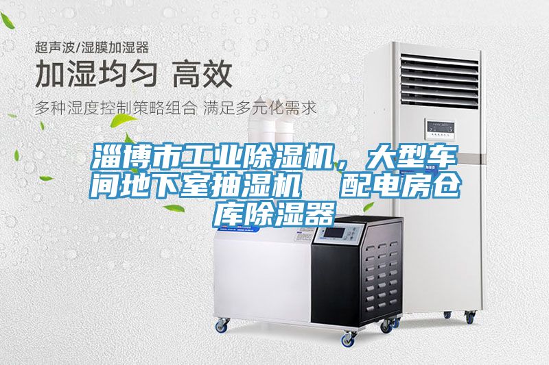 淄博市工業(yè)除濕機(jī)，大型車間地下室抽濕機(jī)  配電房倉庫除濕器