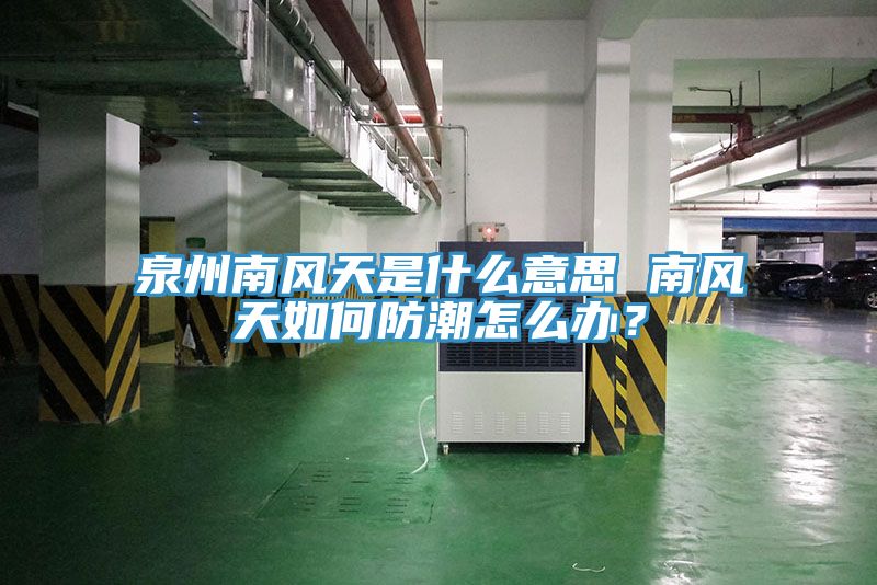 泉州南風(fēng)天是什么意思 南風(fēng)天如何防潮怎么辦？