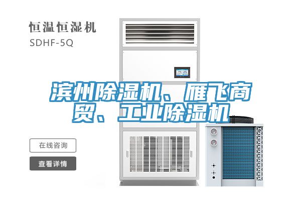 濱州除濕機、雁飛商貿、工業(yè)除濕機