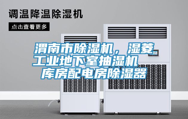 渭南市除濕機(jī)，濕菱工業(yè)地下室抽濕機(jī)  庫(kù)房配電房除濕器