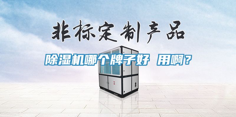 除濕機哪個牌子好 用??？