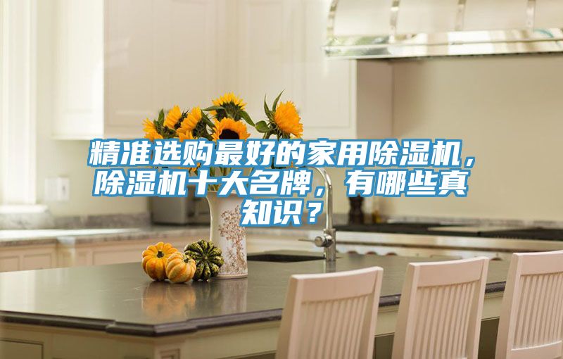 精準選購最好的家用除濕機，除濕機十大名牌，有哪些真知識？