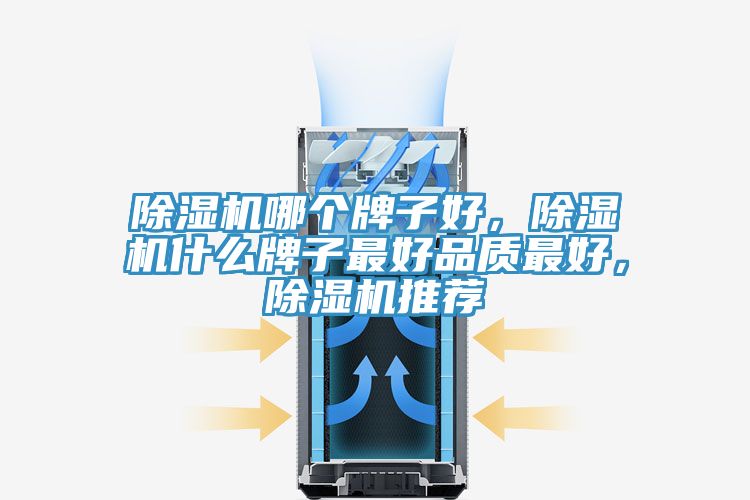 除濕機(jī)哪個(gè)牌子好，除濕機(jī)什么牌子最好品質(zhì)最好，除濕機(jī)推薦