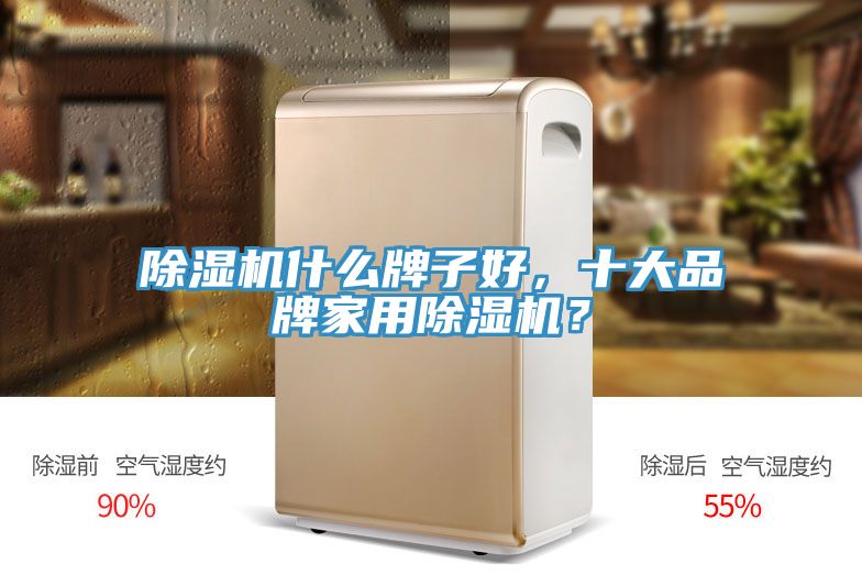 除濕機(jī)什么牌子好，十大品牌家用除濕機(jī)？