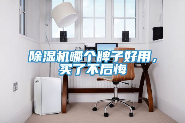 除濕機(jī)哪個(gè)牌子好用，買了不后悔